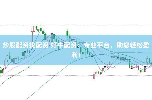 炒股配资找配资 好牛配资：专业平台，助您轻松盈利！