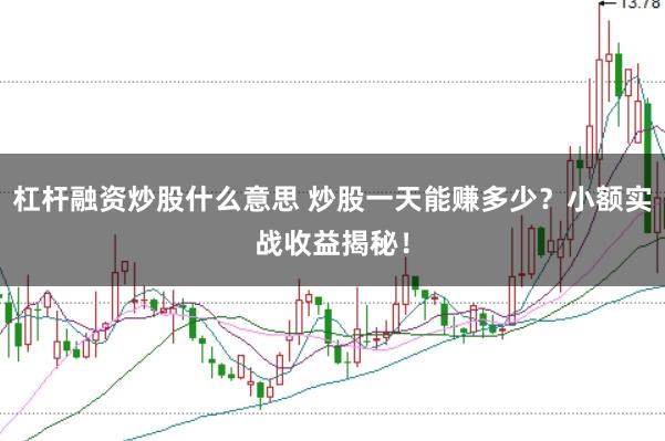 杠杆融资炒股什么意思 炒股一天能赚多少？小额实战收益揭秘！
