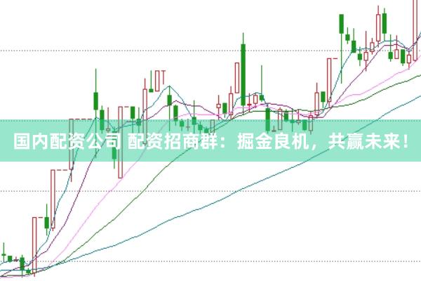 国内配资公司 配资招商群：掘金良机，共赢未来！