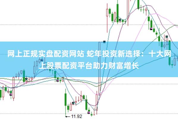 网上正规实盘配资网站 蛇年投资新选择：十大网上股票配资平台助力财富增长
