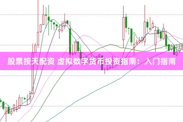股票按天配资 虚拟数字货币投资指南：入门指南
