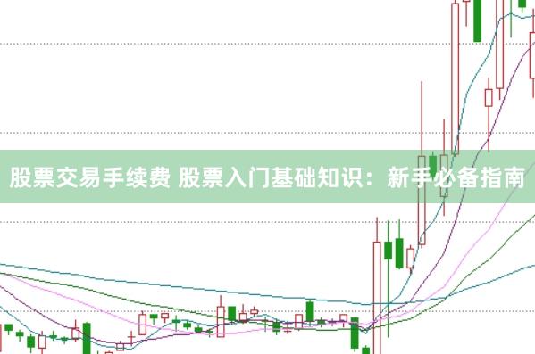 股票交易手续费 股票入门基础知识：新手必备指南