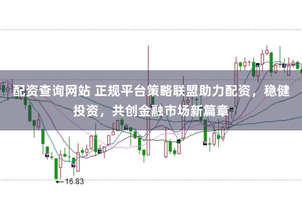 配资查询网站 正规平台策略联盟助力配资，稳健投资，共创金融市场新篇章