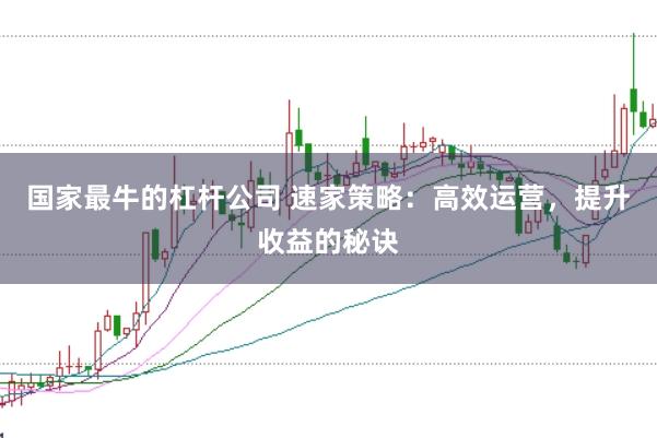 国家最牛的杠杆公司 速家策略：高效运营，提升收益的秘诀